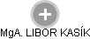 LIBOR KASÍK - Vizualizace  propojení osoby a firem v obchodním rejstříku