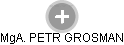 PETR GROSMAN - Vizualizace  propojení osoby a firem v obchodním rejstříku