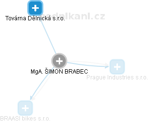 ŠIMON BRABEC - Vizualizace  propojení osoby a firem v obchodním rejstříku