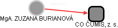  Burianová Z. - Vizualizace  propojení osoby a firem v obchodním rejstříku