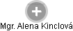  Alena K. - Vizualizace  propojení osoby a firem v obchodním rejstříku