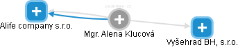 Alena Klucová - Vizualizace  propojení osoby a firem v obchodním rejstříku