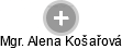 Alena Košařová - Vizualizace  propojení osoby a firem v obchodním rejstříku
