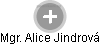  Alice J. - Vizualizace  propojení osoby a firem v obchodním rejstříku