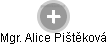 Alice Pištěková - Vizualizace  propojení osoby a firem v obchodním rejstříku