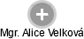 Alice Velková - Vizualizace  propojení osoby a firem v obchodním rejstříku