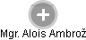  Alois A. - Vizualizace  propojení osoby a firem v obchodním rejstříku
