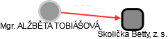  Tobiášová A. - Vizualizace  propojení osoby a firem v obchodním rejstříku