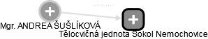  Šušlíková A. - Vizualizace  propojení osoby a firem v obchodním rejstříku