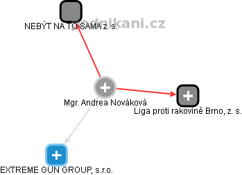 Andrea Nováková - Vizualizace  propojení osoby a firem v obchodním rejstříku