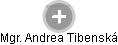 Andrea Tibenská - Vizualizace  propojení osoby a firem v obchodním rejstříku