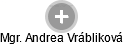  Andrea V. - Vizualizace  propojení osoby a firem v obchodním rejstříku
