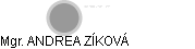  Zíková A. - Vizualizace  propojení osoby a firem v obchodním rejstříku