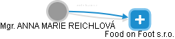  Reichlová A. - Vizualizace  propojení osoby a firem v obchodním rejstříku