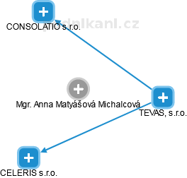  Matyášová A. - Vizualizace  propojení osoby a firem v obchodním rejstříku