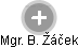 B. Žáček - Vizualizace  propojení osoby a firem v obchodním rejstříku