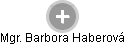 Barbora Haberová - Vizualizace  propojení osoby a firem v obchodním rejstříku