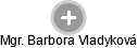Barbora Vladyková - Vizualizace  propojení osoby a firem v obchodním rejstříku