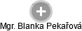 Blanka Pekařová - Vizualizace  propojení osoby a firem v obchodním rejstříku