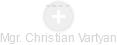  Christian V. - Vizualizace  propojení osoby a firem v obchodním rejstříku