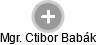Ctibor Babák - Vizualizace  propojení osoby a firem v obchodním rejstříku