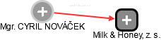 CYRIL NOVÁČEK - Vizualizace  propojení osoby a firem v obchodním rejstříku