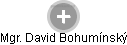 David Bohumínský - Vizualizace  propojení osoby a firem v obchodním rejstříku