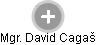 David Cagaš - Vizualizace  propojení osoby a firem v obchodním rejstříku
