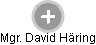 David Häring - Vizualizace  propojení osoby a firem v obchodním rejstříku