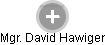 David Hawiger - Vizualizace  propojení osoby a firem v obchodním rejstříku
