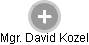 David Kozel - Vizualizace  propojení osoby a firem v obchodním rejstříku