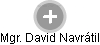 David Navrátil - Vizualizace  propojení osoby a firem v obchodním rejstříku