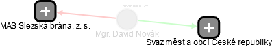 David Novák - Vizualizace  propojení osoby a firem v obchodním rejstříku