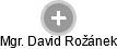 David Rožánek - Vizualizace  propojení osoby a firem v obchodním rejstříku
