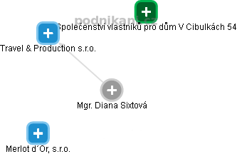  Diana S. - Vizualizace  propojení osoby a firem v obchodním rejstříku