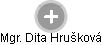 Dita Hrušková - Vizualizace  propojení osoby a firem v obchodním rejstříku