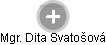  Dita S. - Vizualizace  propojení osoby a firem v obchodním rejstříku