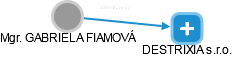 GABRIELA FIAMOVÁ - Vizualizace  propojení osoby a firem v obchodním rejstříku