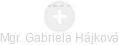  Gabriela H. - Vizualizace  propojení osoby a firem v obchodním rejstříku
