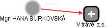  Šurkovská H. - Vizualizace  propojení osoby a firem v obchodním rejstříku