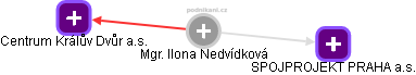  Ilona N. - Vizualizace  propojení osoby a firem v obchodním rejstříku