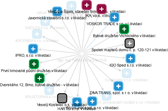 IVANA ZÁLEŠÁKOVÁ - Vizualizace  propojení osoby a firem v obchodním rejstříku