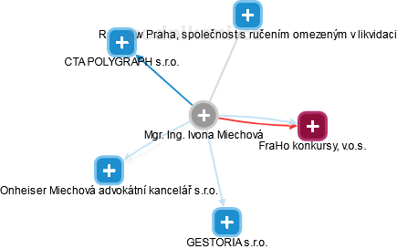Ivona Miechová - Vizualizace  propojení osoby a firem v obchodním rejstříku