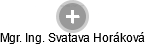 Svatava Horáková - Vizualizace  propojení osoby a firem v obchodním rejstříku