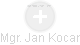 Jan Kocar - Vizualizace  propojení osoby a firem v obchodním rejstříku
