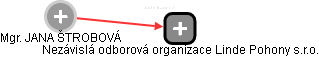  Nodesová J. - Vizualizace  propojení osoby a firem v obchodním rejstříku
