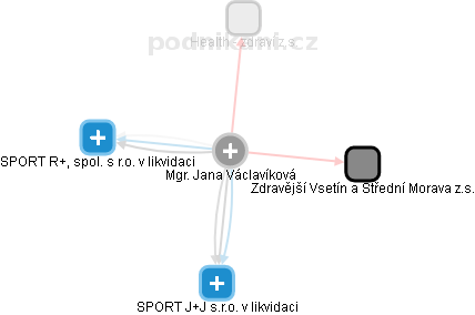 Jana Václavíková - Vizualizace  propojení osoby a firem v obchodním rejstříku