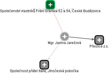 Janina Jarešová - Vizualizace  propojení osoby a firem v obchodním rejstříku