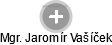  Jaromír V. - Vizualizace  propojení osoby a firem v obchodním rejstříku