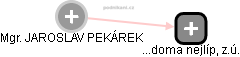 JAROSLAV PEKÁREK - Vizualizace  propojení osoby a firem v obchodním rejstříku
